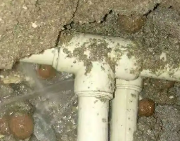 安新测漏水多少钱