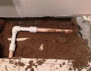 安新测漏水哪家好