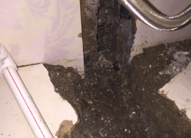 安新卫生间测漏水哪家好