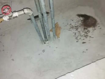 安新卫生间测漏水价格明细