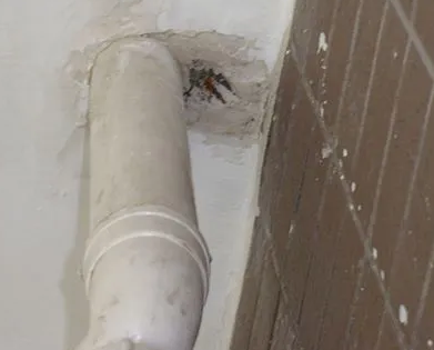 安新漏水检测哪家好